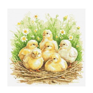 Puede incluir: Un grupo de seis pollitos amarillos anidados en un nido tejido rodeado de hierba verde y flores blancas.