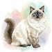 Ragdoll Cat Watercolor Cross Stitch Pattern - Design Size: 200 X 200 ...
