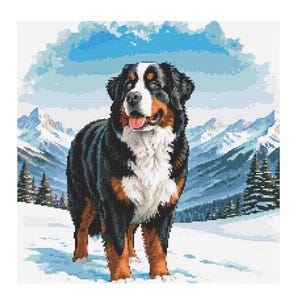 Può includere: Un cane da montagna bernese con pelo nero, bianco e marrone si trova in un paesaggio montano innevato. Il cane guarda a sinistra dell'immagine.
