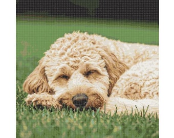 Labradoodle Sleeping in the Grass Cross Stitch Pattern - Design size: 200 x 200 stitches