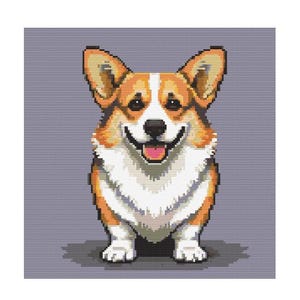 Può includere: Un cane corgi sorridente con pelo marrone e bianco, che guarda direttamente la telecamera. Il cane è in piedi su uno sfondo grigio.