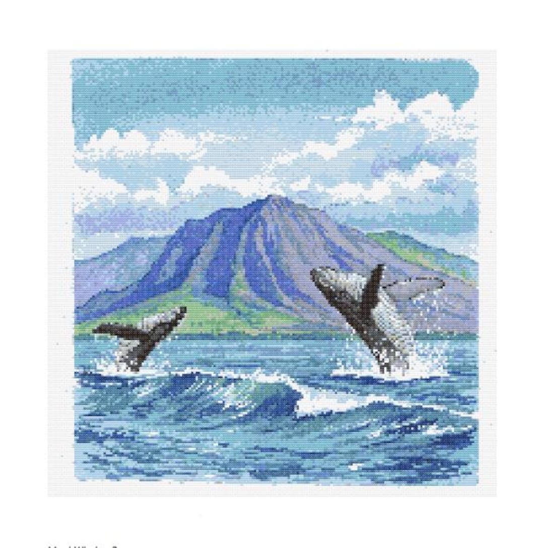 マウイ島のザトウクジラ - ブリーチング（水面から飛び上がる）クロス