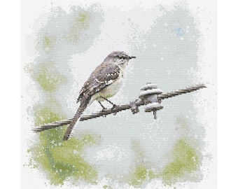 Könnte beinhalten: Ein kleiner, grauer Vogel sitzt auf einem Draht vor einem verwitterten, grünen Hintergrund. Der Vogel schaut nach rechts und hat einen langen, dünnen Schwanz.