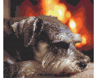 May include: A close-up of a dog's face, with its head resting on a surface. The dog's fur is a mix of brown and white, and its eyes are closed. The background is blurry and out of focus, with warm, orange and yellow lights.