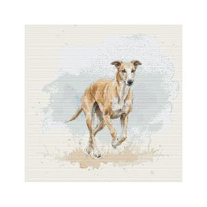May include: A watercolor-style illustration of a running greyhound dog. The dog is depicted in shades of tan and white, with a light blue and beige background. The dog is in mid-stride, with its legs extended.