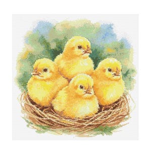 Puede incluir: Cuatro pollitos amarillos y esponjosos se acurrucan juntos en un nido tejido de color marrón. Los pollitos están rodeados de follaje verde y un cielo azul.