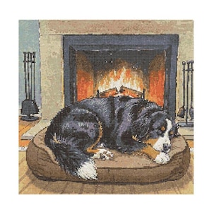 May include: A black and white Bernese Mountain Dog is sleeping on a brown dog bed in front of a fireplace. The fireplace has a fire burning in it and there are tools hanging on the wall next to it.