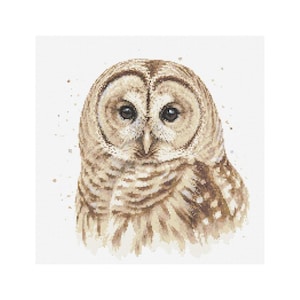 May include: A watercolor painting of a Barred Owl, featuring detailed brown and tan feathers and large, dark eyes. The owl is centered against a white background, with subtle paint splatters adding texture.