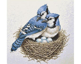May include: Two blue jays, one perched on top of the other, are nestled in a woven brown nest with blue and white eggs.