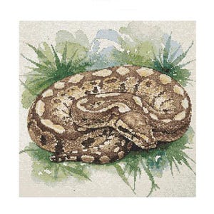 Op de afbeelding: Een bruine en beige slang die op een bed van groene bladeren en witte bloemen is opgerold. De slang heeft een getextureerde, schubbige huid.