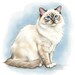 Ragdoll Cat Watercolor Cross Stitch Pattern - Design Size: 200 X 200 ...