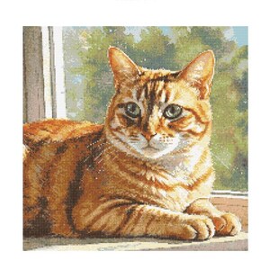 Op de afbeelding: Een tabbykat met groene ogen zit bij een raam en kijkt uit naar de zonnige dag. De vacht van de kat is een mix van oranje, bruin en wit.
