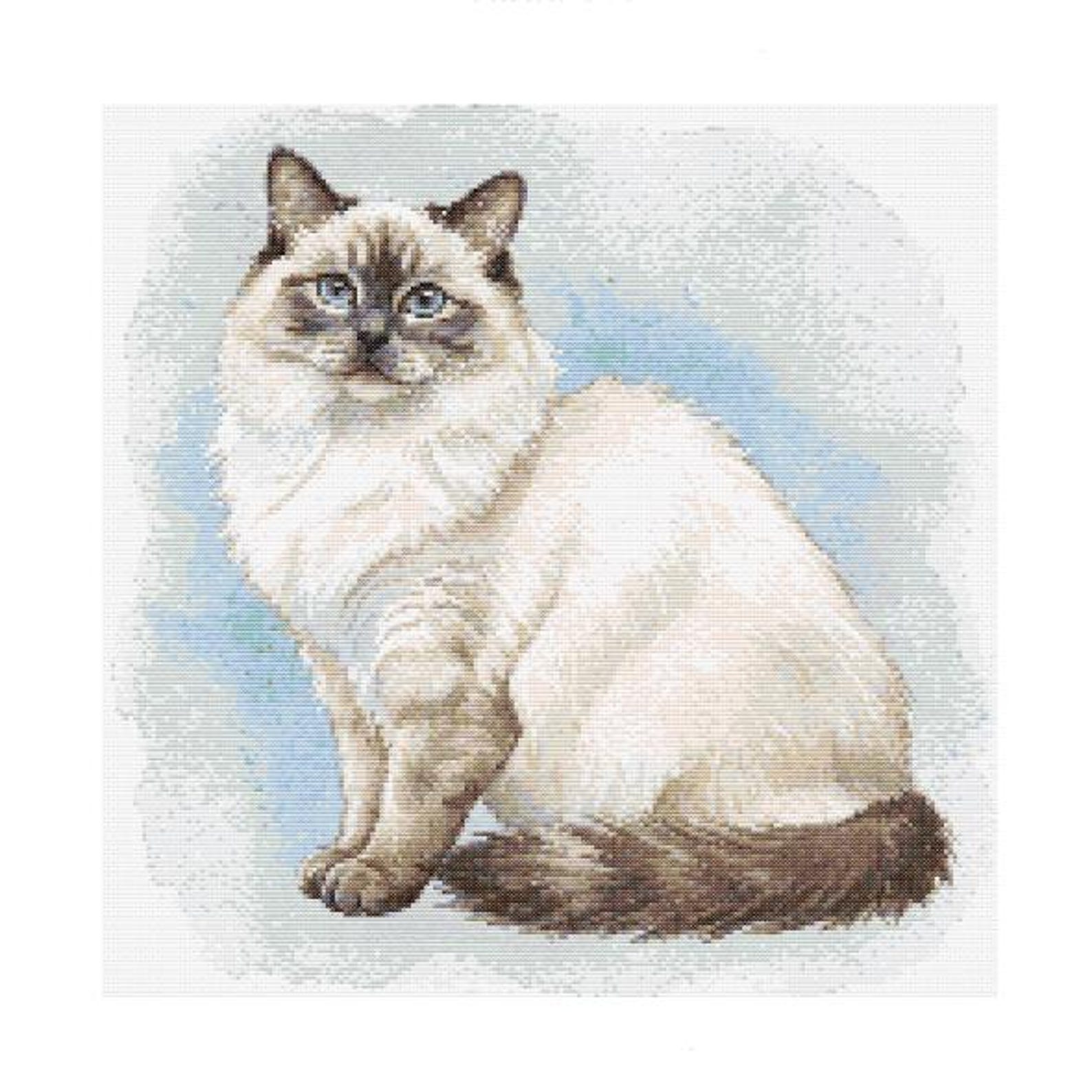 Ragdoll Cat Watercolor Cross Stitch Pattern - Design Size: 200 X 200 ...