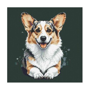 May include: A smiling corgi with brown, black, and white fur against a dark green background.