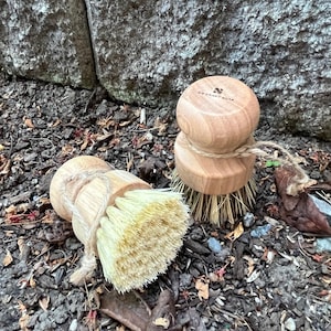 Peut inclure: Deux brosses à vaisselle en bois avec des poils naturels. Les brosses ont un manche en bois et une tête de brosse en fibres naturelles. Les brosses sont sur une surface brune avec des feuilles et des brindilles.