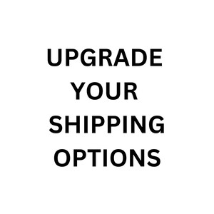 Può includere: Grafica di testo che recita "Upgrade Your Shipping Options".