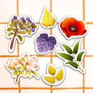 STICKER PACK - Lot de 7 Stickers "Plantes et fleurs" - Stickers décoratifs - Stickers pour Bullet Journal