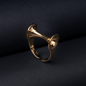Wormhole Ring in Gold Plated Silver/Science Ring/Science Jewelry/Physics Ring/Gift for Scientist/Quantum physics Gift/Teacher gift