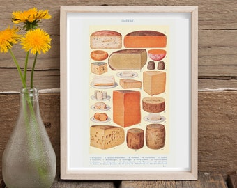PRINTABLE: Vintage Illustration of Cheeses from Mrs. Beeton's Book of Household Management, 1923, Great Gift for Mom, Cheese Lovers, Chefs
