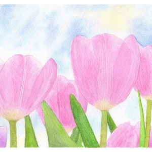 Pink Tulips Greetings Card From an Original Watercolour Painting