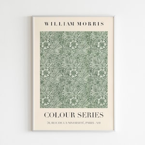 Stampa espositiva William Morris Color Series / STAMPA DI ALTA QUALITÀ / Download digitale / Arte moderna di metà secolo / Stampa floreale Morris