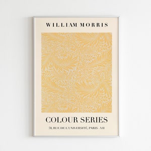 William Morris Colour Series Exhibition Print | HIGH QUALITY PRINT | Digital Download | Mid Century Modern Art  | Morris Floral Print