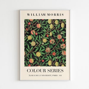 Stampa espositiva William Morris Color Series / STAMPA DI ALTA QUALITÀ / Download digitale / Arte moderna di metà secolo / Stampa floreale Morris