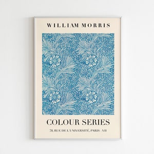 William Morris Colour Series Exhibition Print | HIGH QUALITY PRINT | Digital Download | Mid Century Modern Art  | Morris Floral Print
