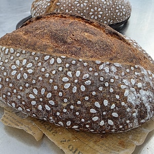 Pode incluir: Duas broas redondas de pão de massa madre com crosta castanha escura e polvilhadas com farinha branca. O pão está sobre uma superfície metálica com papel vegetal por baixo. As broas parecem recém-assadas.