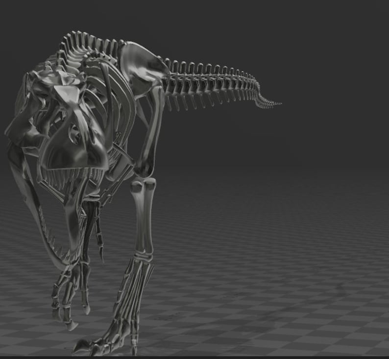 3d model of dinosaur skeleton T-Rex 3d Printing Stl file | Etsy
