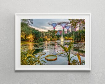 Singapore Gardens by the Bay | Photos Digital Download | Photo Poster | Digital Print Wall Art