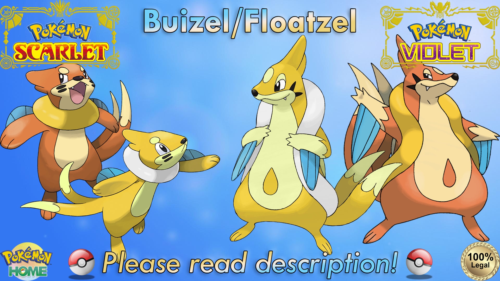 Shiny/non-shiny Buizel/floatzel 6IV Pokémon Scarlet/violet - Etsy