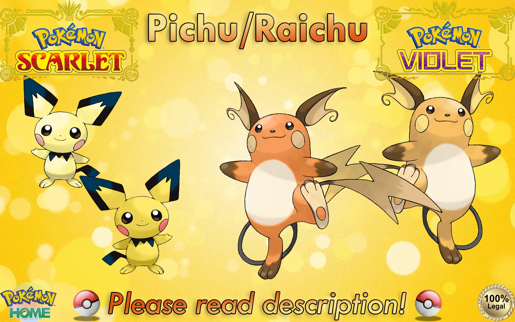 Bandai - Pokémon - Pack évolution Pichu, Pikachu…