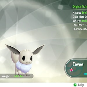 Pode incluir: Uma ilustração digital de um Eevee Pokémon marrom e branco com um colar azul claro. O Pokémon é de nível 33 e do tipo Normal. As estatísticas do Pokémon são 89/89. O treinador original do Pokémon é Pkmaster. A natureza do Pokémon é Audacioso. O Pokémon foi capturado em 9/3/2019 na Rota 17. A característica do Pokémon é Traquinas.