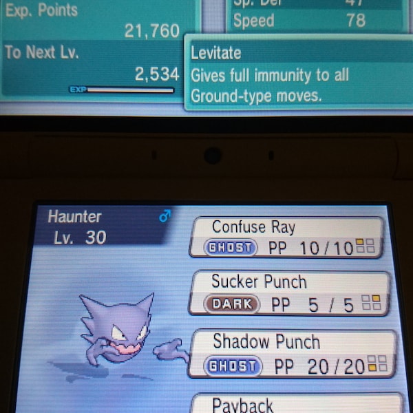 Haunter EVENT 6IV - Pokémon X/Y OR/AS S/M Us/Um Sw/Sh Bd/Sp S/V Home (100% Legal)