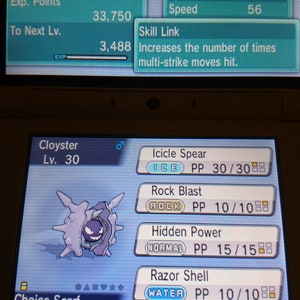 Pode incluir: Uma captura de tela de um jogo Nintendo DS mostrando um Pokémon Cloyster de nível 30. O Pokémon está segurando um item chamado Choice Scarf. A tela também mostra as estatísticas e os movimentos do Pokémon, incluindo Icicle Spear, Rock Blast, Hidden Power e Razor Shell.