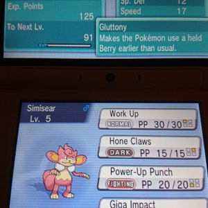 Pode incluir: Uma captura de tela de um jogo Nintendo DS mostrando um Pokémon Simisear com o nome "Simisear" e nível 5. O Pokémon é rosa e marrom com uma cauda longa. O Pokémon está em pé em um fundo azul. A tela também mostra as estatísticas do Pokémon, incluindo seus PS, ataque, defesa, ataque especial, defesa especial e velocidade. Os movimentos do Pokémon também são listados, incluindo Aumento, Garras Afiladas, Soco Potenciado e Giga Impacto.