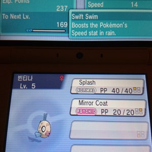 Puede incluir: Una captura de pantalla de un juego de Nintendo DS que muestra un Pokémon Feebas con el nombre "빈티나" y el nivel 5. El Pokémon tiene los movimientos Splash y Mirror Coat. Se muestran las estadísticas del Pokémon, incluyendo PS, Ataque, Defensa, Ataque Especial, Defensa Especial y Velocidad.