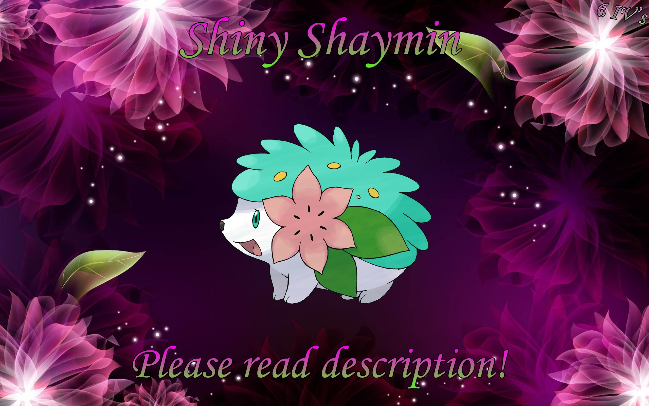 Seltene 6IV Pokemon GLÄNZEND 6IV SINISTOCHA MEISTERWERK FORM SCHARLACHROT Pokemon Scharlachrot Violett Trade