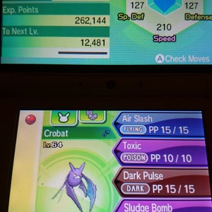 Pode incluir: Uma captura de tela de um jogo Nintendo DS mostrando um Pokémon Crobat com as estatísticas: PV 202/202, Atq. Esp. 114, Ataque 126, Def. Esp. 127, Defesa 127, Velocidade 210. O Pokémon é de nível 64 e tem os movimentos Corte Aéreo, Tóxico, Pulso Sombrio e Bomba de Lama.