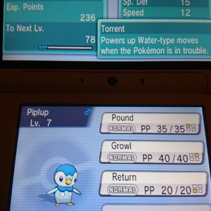 May include: A Nintendo DS screen displaying a Piplup Pokémon, level 7, with the moves Pound, Growl, and Return. The Piplup is blue and white with a black beak and black eyes. The screen also shows Piplup's stats, including HP, Attack, Defence, Sp. Atk, Sp. Def, and Speed.