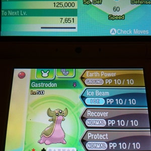 May include: A screenshot of a Nintendo DS game screen showing a Gastrodon Pokemon with a green and pink body. The Pokemon is level 50 and has the ability Storm Drain. The Pokemon is holding a Life Orb. The screen also shows the Pokemon's stats and moves.