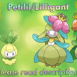 Shiny Lilligant Alpha Best Stats // Pokemon Legends: -  Portugal