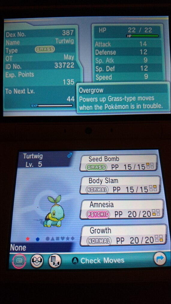 Pokemon Brilliant Diamond / Shining Pearl Starters Turtwig Chimchar Piplup  6IV