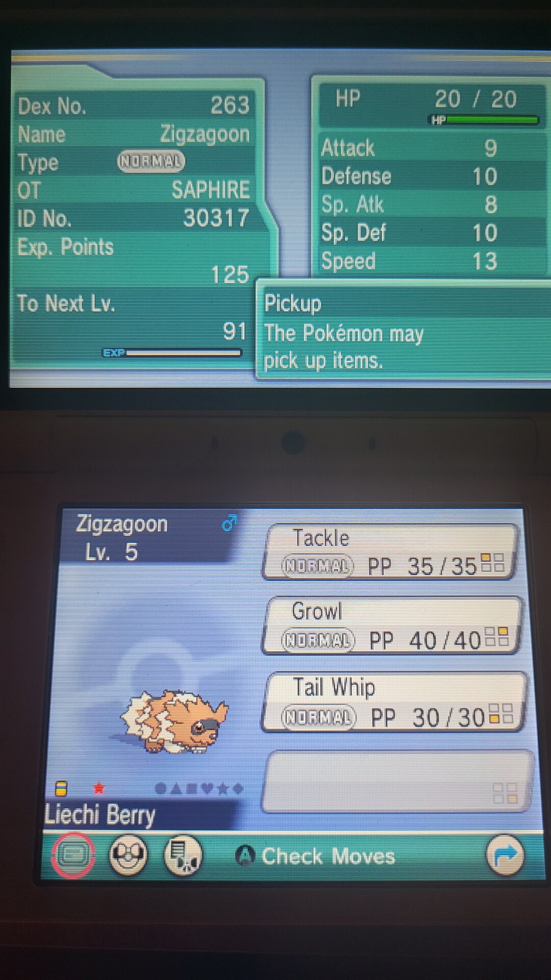Shiny Zigzagoon Berry Program Update EVENT 6IV - Pokémon Sw/sh HOME ...