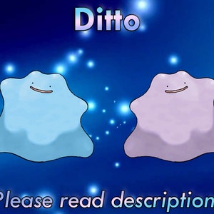 4 x Shiny 6IV Foreign Ditto holding Master Balls - each Ditto's nature are  Modest, Jolly, Adamant, and Timid - Pokemon Sword, Shield, Brilliant Diamond,  Shining Pearl, Scarlet, and Violet - elymbmx