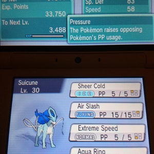 Pode incluir: Uma captura de tela de um jogo Nintendo DS mostrando um Pokémon Suicune com o texto "Suicune Lv. 30" e "Rowap Berry". As estatísticas do Pokémon são exibidas, incluindo HP, Ataque, Defesa, Ataque Especial, Defesa Especial e Velocidade. Os movimentos do Pokémon também são exibidos, incluindo Gelo Puro, Ataque Aéreo, Velocidade Extrema e Anel de Água.