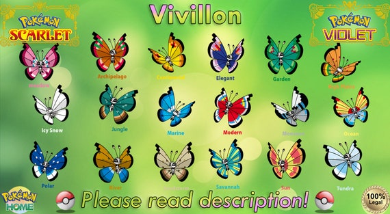 ⭐ SHINY 6IV EEVEE⭐ Pokémon Scarlet and Violet ⭐ (Fast Delivery)