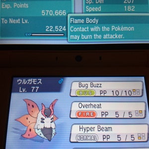 Pode incluir: Uma captura de tela de um jogo Nintendo DS mostrando um Pokémon Volcarona com o texto "Bug Buzz", "Overheat", "Hyper Beam" e "Quiver Dance" na tela. O Pokémon é de nível 77 e tem uma Life Orb.