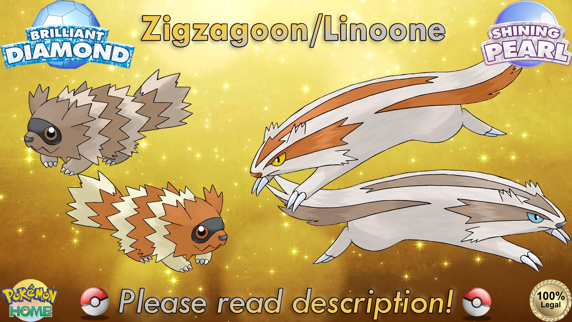 Pokemon 16263 Galarian Zigzagoon Pokedex: Evolution, Moves, Location, Stats